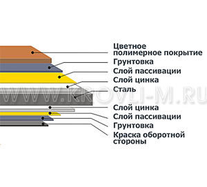   PoUsi-50